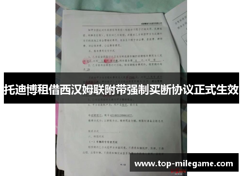 托迪博租借西汉姆联附带强制买断协议正式生效